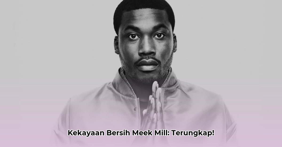 how much is meek mill s net worth